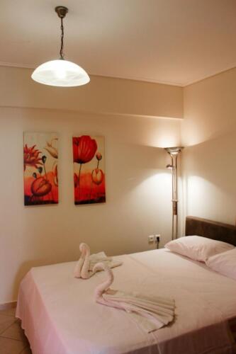 IMG 1872-1