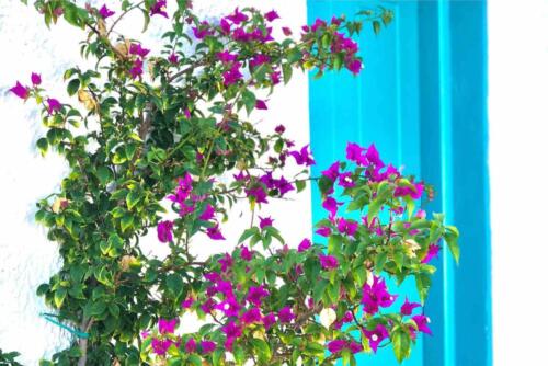 f5b49d84-4f2c-45fc-a285-e111723721df